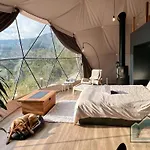 Dome In Nature