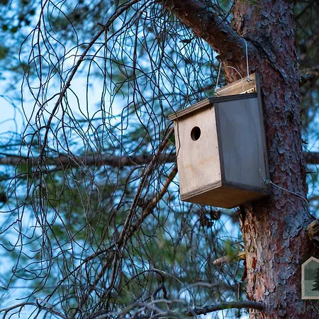 Dome In Nature * Lárnaca