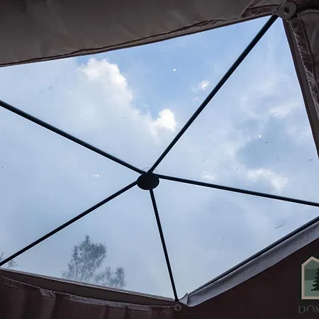 Dome In Nature * Larnaca