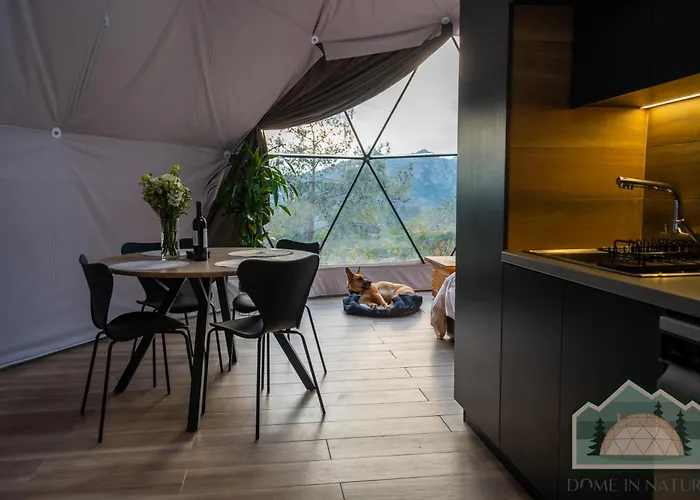 ラグジュアリーテント Dome In Nature
